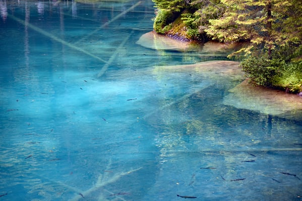 Nr. 330 / 2016 / Blausee / 6016 x 4016 / JPG-Datei