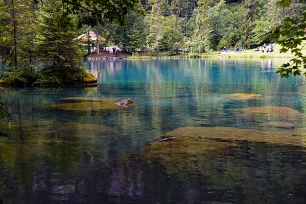 Nr. 341 / 2016 / Blausee / 6016 x 4016 / JPG-Datei