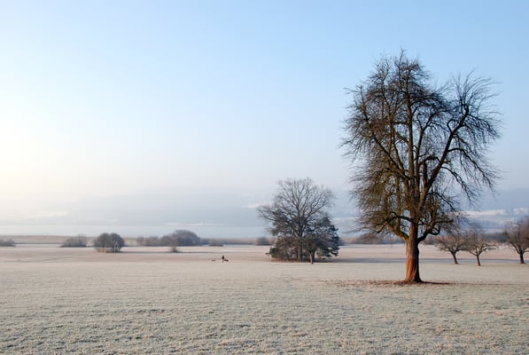 Nr. 244 / 2016 / Greifensee / 6016 x 4000 / JPG Datei