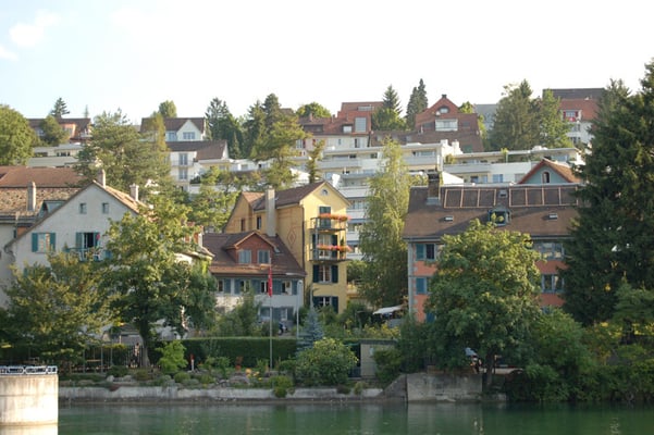 Nr. 263/ 11.07.08 / Zürich Höngg / 3008 x 2000 / JPG Datei