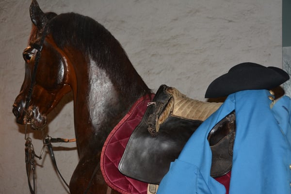 Nr. 2515 / 04.05.2014 / Kyburg / 6016 x 4000 / JPG-Datei