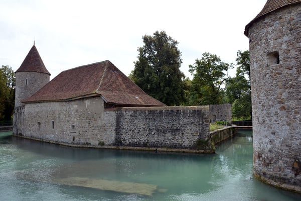 Nr. 2550 / 09.08.2014 / Schloss Hallwyl, Seengen / 6000 x 4000 / JPG-Datei