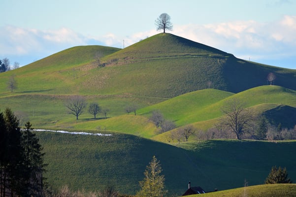 Nr. 5103 / Woche 3 / Schönenberg ZH, Blick Richtung Süd-West  / 6000 x 4000 / JPG-Datei 