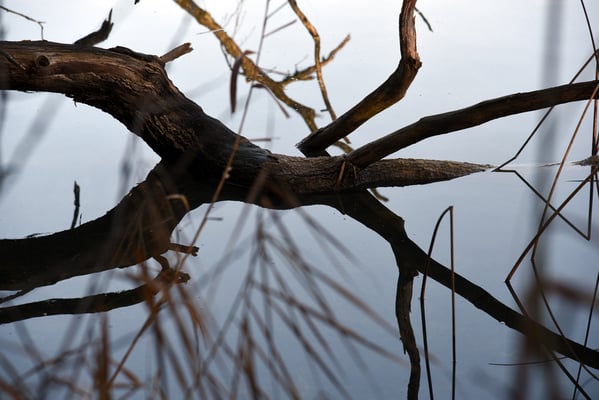 Nr. 259 / 2018 / Türlersee / 6016 x 4000 / JPG Datei