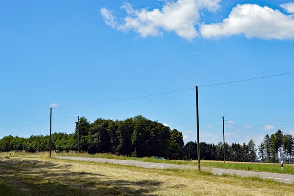 5325 / Woche 25 / Oberhalb Fisibach AG, Belchenstrasse