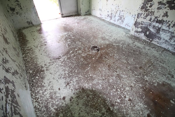 High pressure for an old painting_5