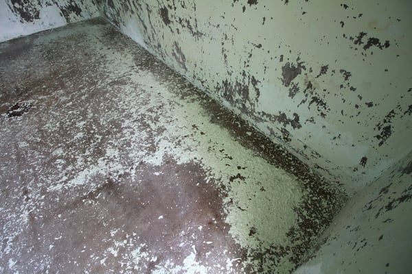 High pressure for an old painting_2