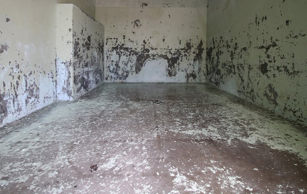 High pressure for an old painting_1