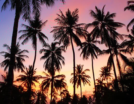 Bali Balo Tour: Vivez l'aventure balinaise en toute sérénité