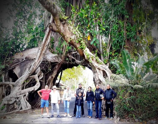 A la carte : Vous souhaitez vivre une expérience unique? Le tour A la carte  vous attend !