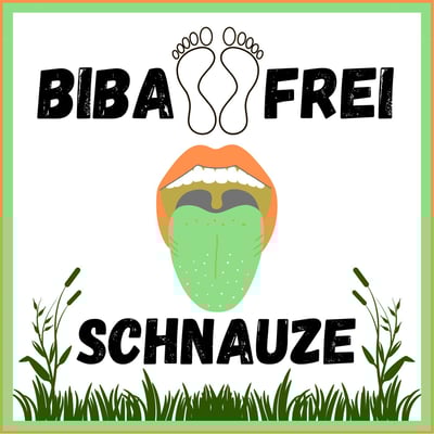 podcast bildung zeitgeisttransformation menschlichkeit humor fantasie poesie