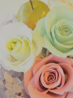 tokochan♪_バラで相性占い