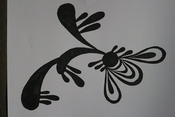 夏みかん_多肉植物