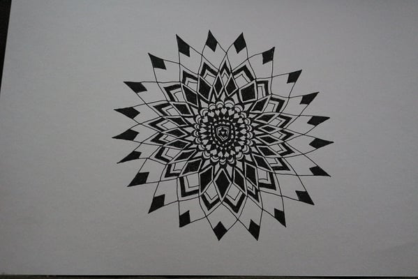 夏みかん_向日葵