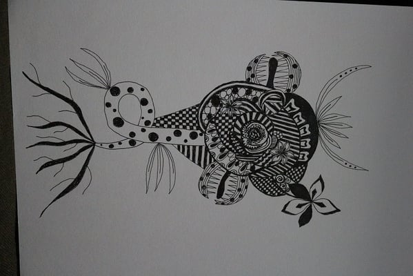 夏みかん_食虫植物