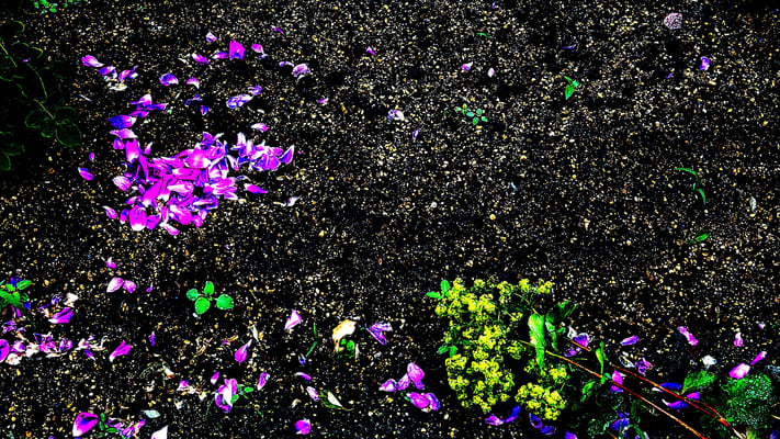 ナリタマサヒロ_foul(Black)