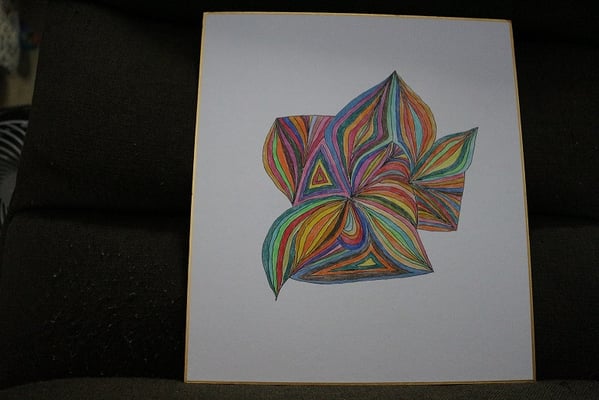 夏みかん_たまねぎ