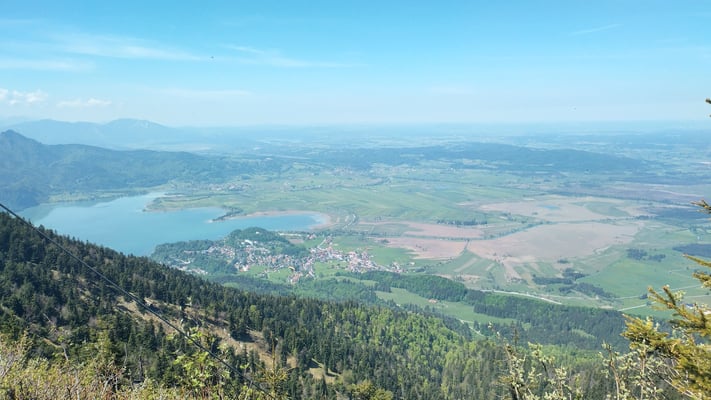 Blick auf Südteil des LKM, gut erkennbar die braun gefärbten Streuwiesen, © Birgit Weis