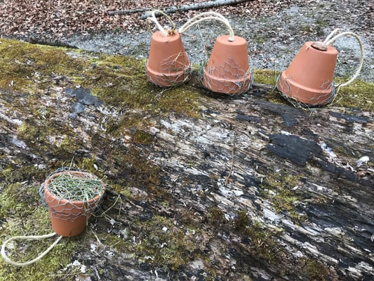 Ohrwurmhotels, © Kathrin Lichtenauer