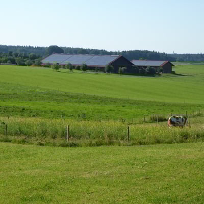 Jagdrevier, © Hans Buxbaum