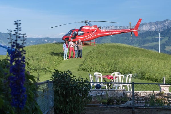 Ein Ausflug mit der Familie 