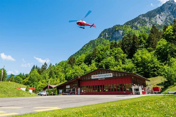 Helibasis Gsteigwiler
