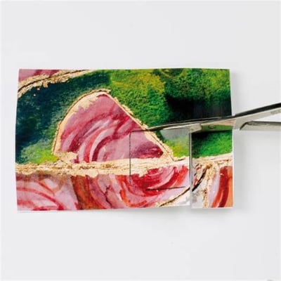 Bildausschnitt ausschneiden (Beispielsbild Internet)