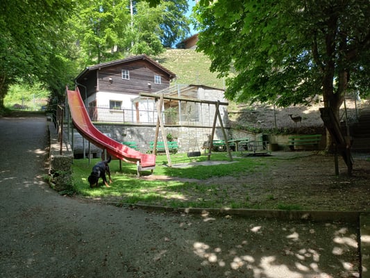 Vom Bahnhof Rohrbach führt der Wanderweg vorbei am Hirschpark und Spielplatz Richtung Wyssbach