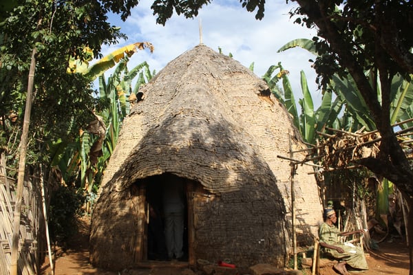 дома в деревне Дорзе