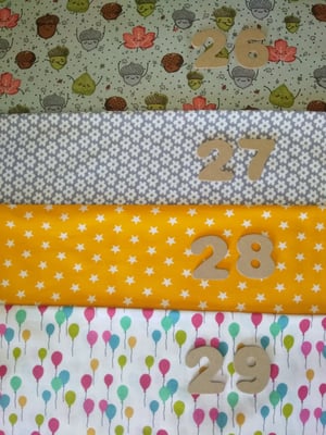 Tissus 26, 27, 28, 29