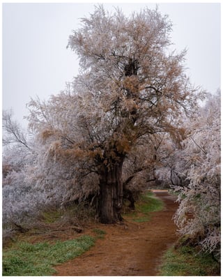 Schöne Wege führen durch den Nationalpark 