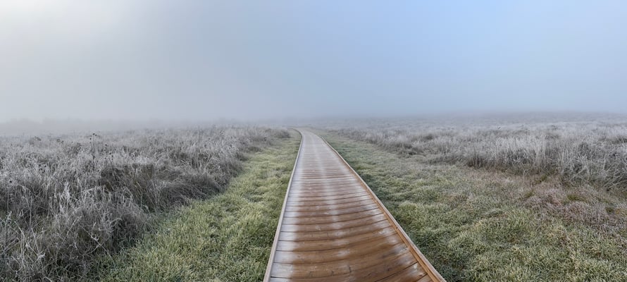 Schön angelegte Wege am frostigen Morgen
