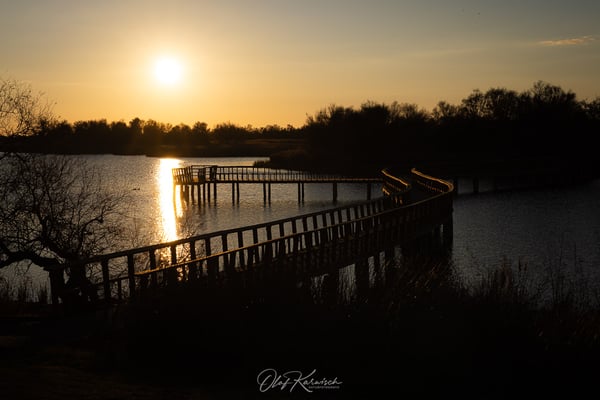 Sonnenuntergang in Tablas de Daimiel