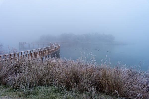 Nationalpark Tablas de Daimiel bei Nebel