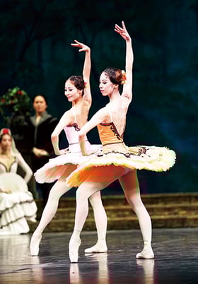 2018年3月公演 「ドン・キホーテ」