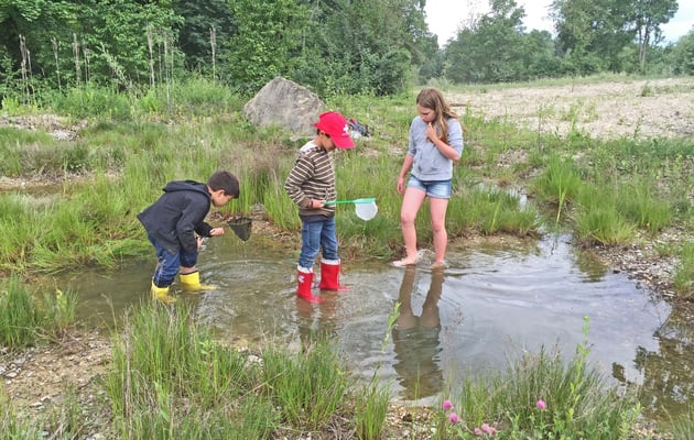 Beurteilung des Fanges