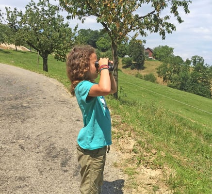 Beobachten von fliegenden Schwalben