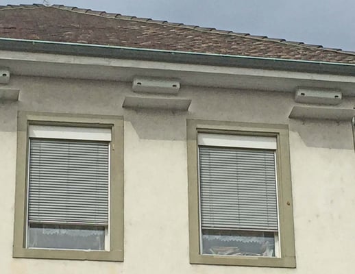 Spiren, resp. Mauerseglerkästen