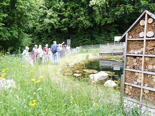 Natur im Siedlungsgebiet