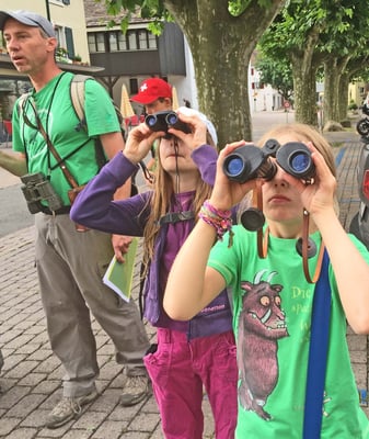 Kinder beobachten Schwalben und Segler