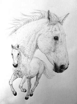 Kombiportrait Format A2