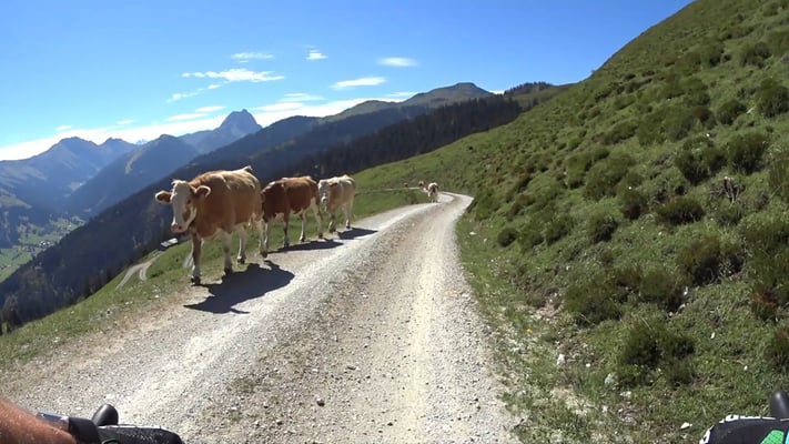 Fahrradsimulator mit Videosoftware für Tirol