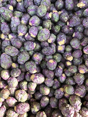 Lila, frischer Rosenkohl vom Gemüsemarkt.