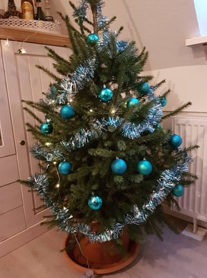 ... und kann nach einer Akklimatisierungszeit direkt geschmückt werden.