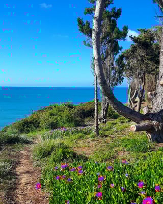 Gåtur ikke langt fra huset.