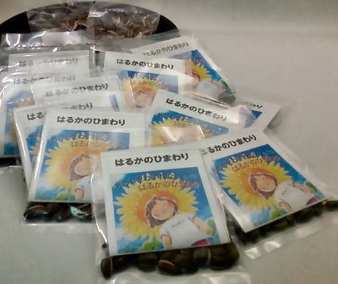 種を採り、袋詰して友人に配布