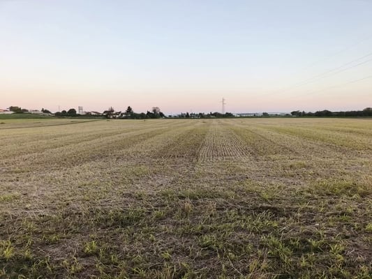 Tank 4 photo capteur principale2