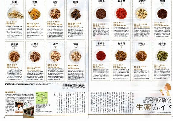 新潟中医薬研究会の会員６店舗が紹介された「月間キャレル2009年9月号」その２