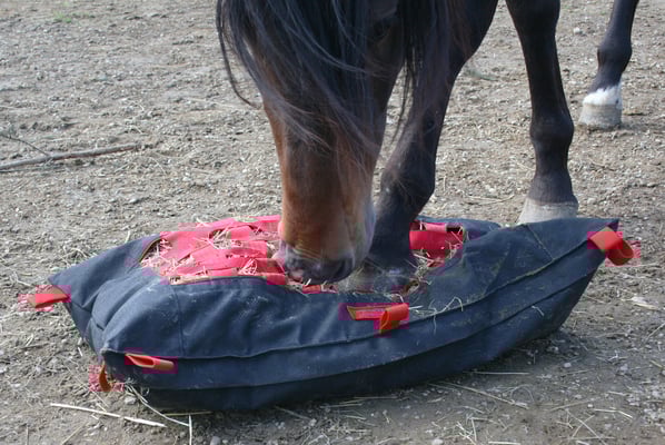 Hier das Kevlar Material mit Gurtband.