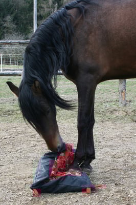 Hier das Kevlar Material mit Gurtband.